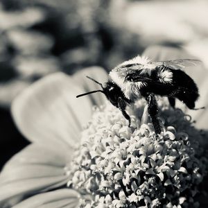 Meet your Posher, Jake